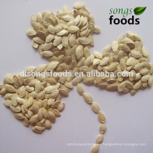 Semillas de calabaza de piel brillante a granel en stock 11CM, 12CM, 13CM